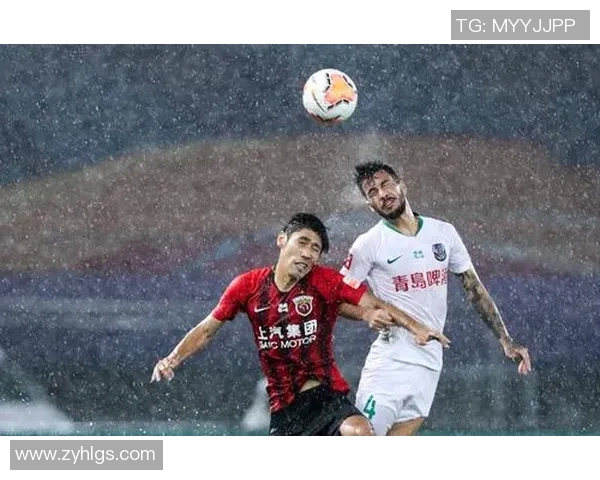 专访杨磊：深入探讨足球成功背后的秘密与经验分享